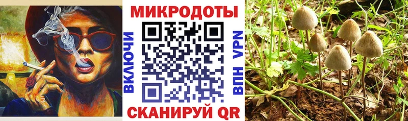 Галлюциногенные грибы GOLDEN TEACHER  где продают наркотики  Аргун 